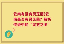 云南有没有灵芝菌(云南是否有灵芝菌？解析传说中的“灵芝之乡”)