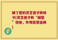 破了壁的灵芝孢子粉样子(灵芝孢子粉“破壁”惊艳，外观倍受追捧)