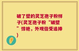 破了壁的灵芝孢子粉样子(灵芝孢子粉“破壁”惊艳，外观倍受追捧)