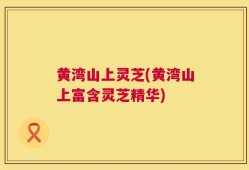 黄湾山上灵芝(黄湾山上富含灵芝精华)