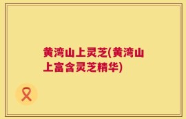 黄湾山上灵芝(黄湾山上富含灵芝精华)