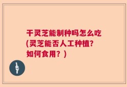 干灵芝能制种吗怎么吃(灵芝能否人工种植？如何食用？)