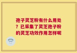 孢子灵芝粉有什么用处？已采集了灵芝孢子粉的灵芝功效作用怎样呢