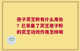 孢子灵芝粉有什么用处？已采集了灵芝孢子粉的灵芝功效作用怎样呢
