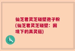 仙芝君灵芝碰壁孢子粉(仙芝君灵芝碰壁：困境下的真灵菇)
