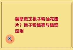 破壁灵芝孢子粉油花图片？孢子粉破壳与破壁区别