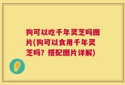 狗可以吃千年灵芝吗图片(狗可以食用千年灵芝吗？搭配图片详解)