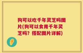 狗可以吃千年灵芝吗图片(狗可以食用千年灵芝吗？搭配图片详解)