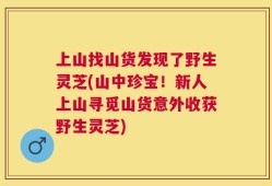 上山找山货发现了野生灵芝(山中珍宝！新人上山寻觅山货意外收获野生灵芝)