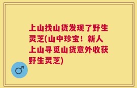 上山找山货发现了野生灵芝(山中珍宝！新人上山寻觅山货意外收获野生灵芝)