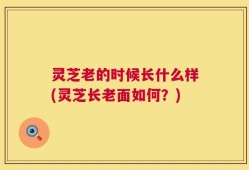 灵芝老的时候长什么样(灵芝长老面如何？)