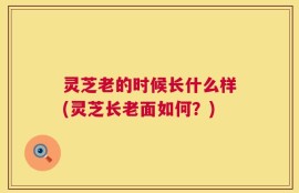 灵芝老的时候长什么样(灵芝长老面如何？)