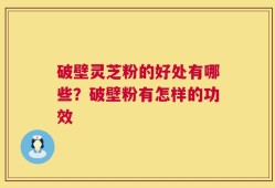 破壁灵芝粉的好处有哪些？破壁粉有怎样的功效