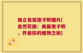 独立包装孢子粉图片(自然花园：美丽孢子粉，开启你的植物之旅)