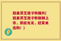 冠县灵芝孢子粉图片(冠县灵芝孢子粉新鲜上市，供应充足，赶紧来选购！)