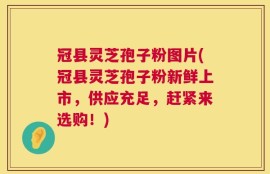 冠县灵芝孢子粉图片(冠县灵芝孢子粉新鲜上市，供应充足，赶紧来选购！)