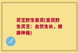 灵芝野生紫灵(紫灵野生灵芝：自然生长，健康神器)