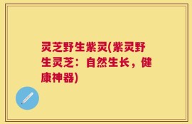 灵芝野生紫灵(紫灵野生灵芝：自然生长，健康神器)