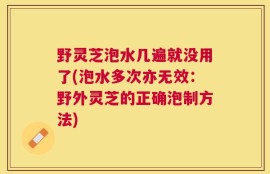 野灵芝泡水几遍就没用了(泡水多次亦无效：野外灵芝的正确泡制方法)
