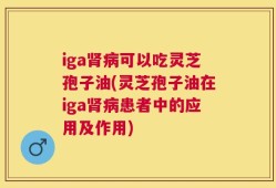 iga肾病可以吃灵芝孢子油(灵芝孢子油在iga肾病患者中的应用及作用)