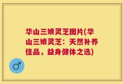 华山三娘灵芝图片(华山三娘灵芝：天然补养佳品，益身健体之选)