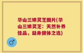 华山三娘灵芝图片(华山三娘灵芝：天然补养佳品，益身健体之选)