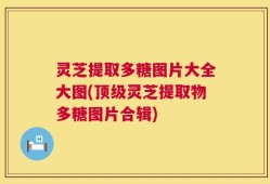 灵芝提取多糖图片大全大图(顶级灵芝提取物多糖图片合辑)