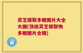 灵芝提取多糖图片大全大图(顶级灵芝提取物多糖图片合辑)