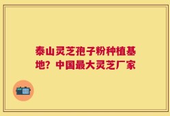泰山灵芝孢子粉种植基地？中国最大灵芝厂家