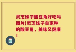 灵芝妹子酸豆角好吃吗图片(灵芝妹子自家种的酸豆角，美味又健康！