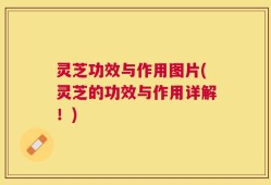 灵芝功效与作用图片(灵芝的功效与作用详解！)