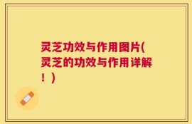 灵芝功效与作用图片(灵芝的功效与作用详解！)