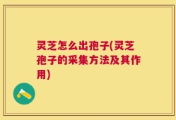 灵芝怎么出孢子(灵芝孢子的采集方法及其作用)
