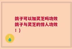 鸽子可以加灵芝吗功效鸽子与灵芝的惊人功效！)