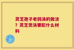 灵芝孢子老鸽汤的做法？灵芝煲汤要配什么材料