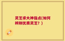 灵芝求大神指点(如何辨别优质灵芝？)