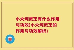小火炖灵芝有什么作用与功效(小火炖灵芝的作用与功效解析)