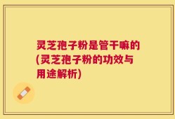 灵芝孢子粉是管干嘛的(灵芝孢子粉的功效与用途解析)