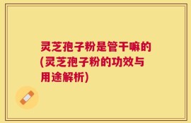 灵芝孢子粉是管干嘛的(灵芝孢子粉的功效与用途解析)
