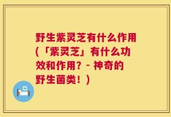 野生紫灵芝有什么作用(「紫灵芝」有什么功效和作用？- 神奇的野生菌类！)