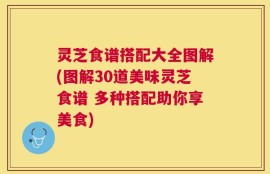 灵芝食谱搭配大全图解(图解30道美味灵芝食谱 多种搭配助你享美食)