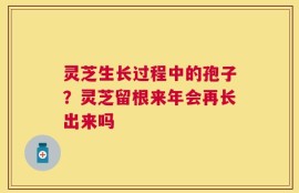 灵芝生长过程中的孢子？灵芝留根来年会再长出来吗