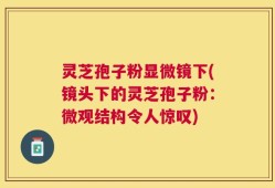 灵芝孢子粉显微镜下(镜头下的灵芝孢子粉：微观结构令人惊叹)