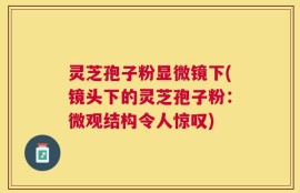 灵芝孢子粉显微镜下(镜头下的灵芝孢子粉：微观结构令人惊叹)
