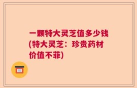一颗特大灵芝值多少钱(特大灵芝：珍贵药材价值不菲)