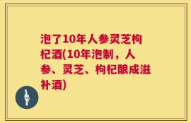 泡了10年人参灵芝枸杞酒(10年泡制，人参、灵芝、枸杞酿成滋补酒)