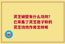 灵芝破壁有什么功效？已采集了灵芝孢子粉的灵芝功效作用怎样呢