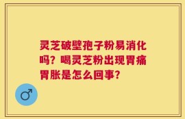 灵芝破壁孢子粉易消化吗？喝灵芝粉出现胃痛胃胀是怎么回事？