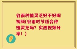 谷雨种植灵芝好不好呢视频(谷雨时节适合种植灵芝吗？实测视频分享！)
