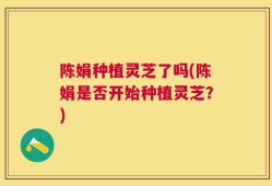 陈娟种植灵芝了吗(陈娟是否开始种植灵芝？)